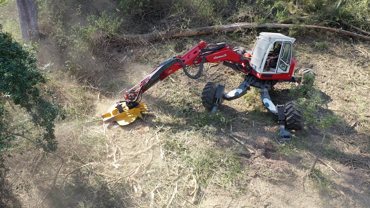 African Olive & Lantana - removal with Spider excavator.