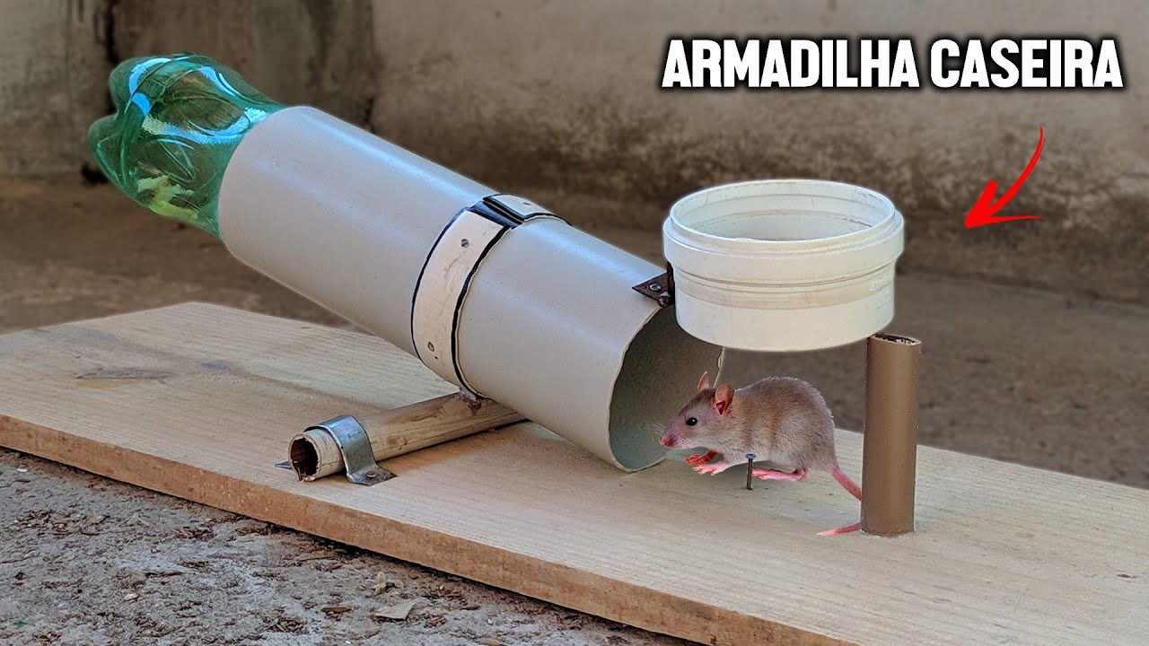 Como Fazer uma Ratoeira Caseira (2 maneiras)