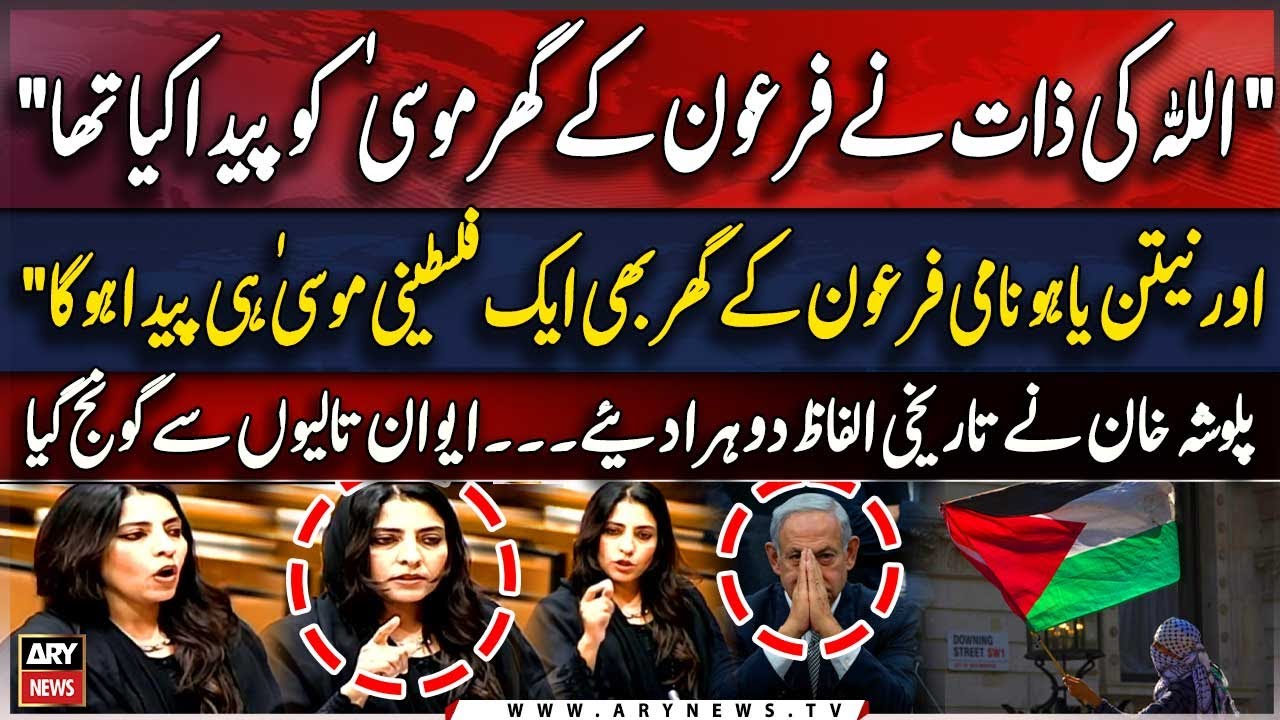 Palwasha Khan's Histroc speech in senate | israel vs palestine War