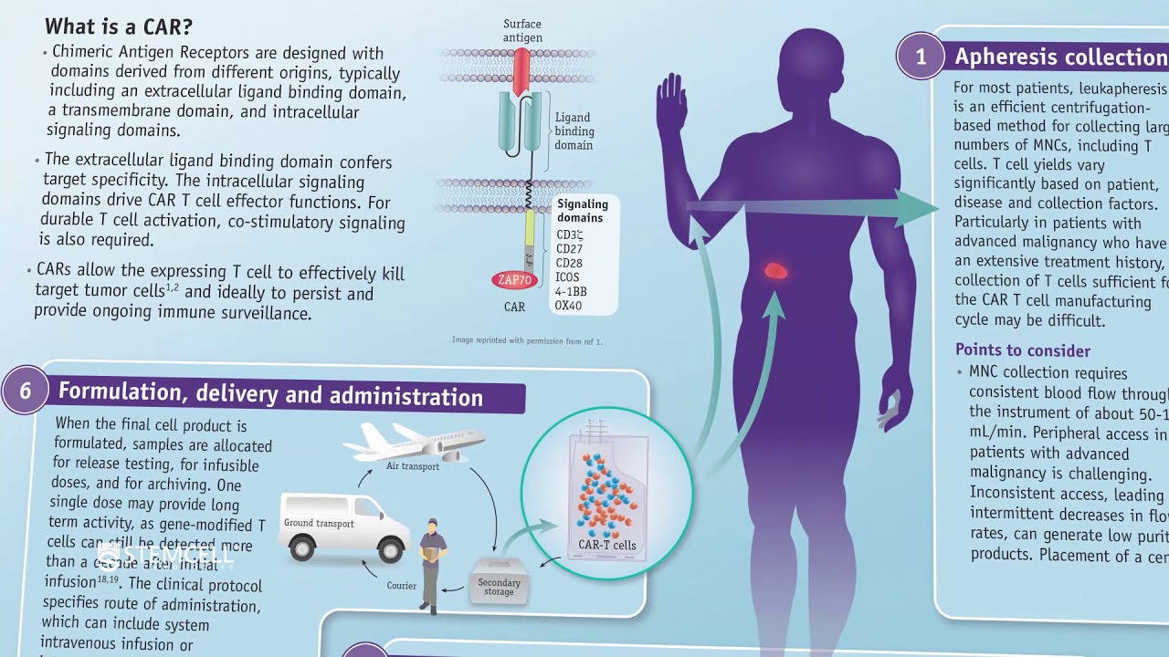 Production of Chimeric Antigen Receptor T Cells - Wallchart