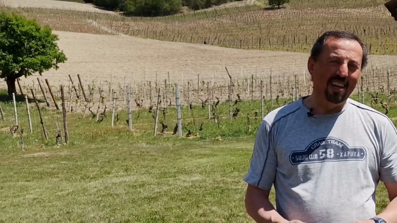 Cascina Barisél, Piemonte: Slow Wine 2024