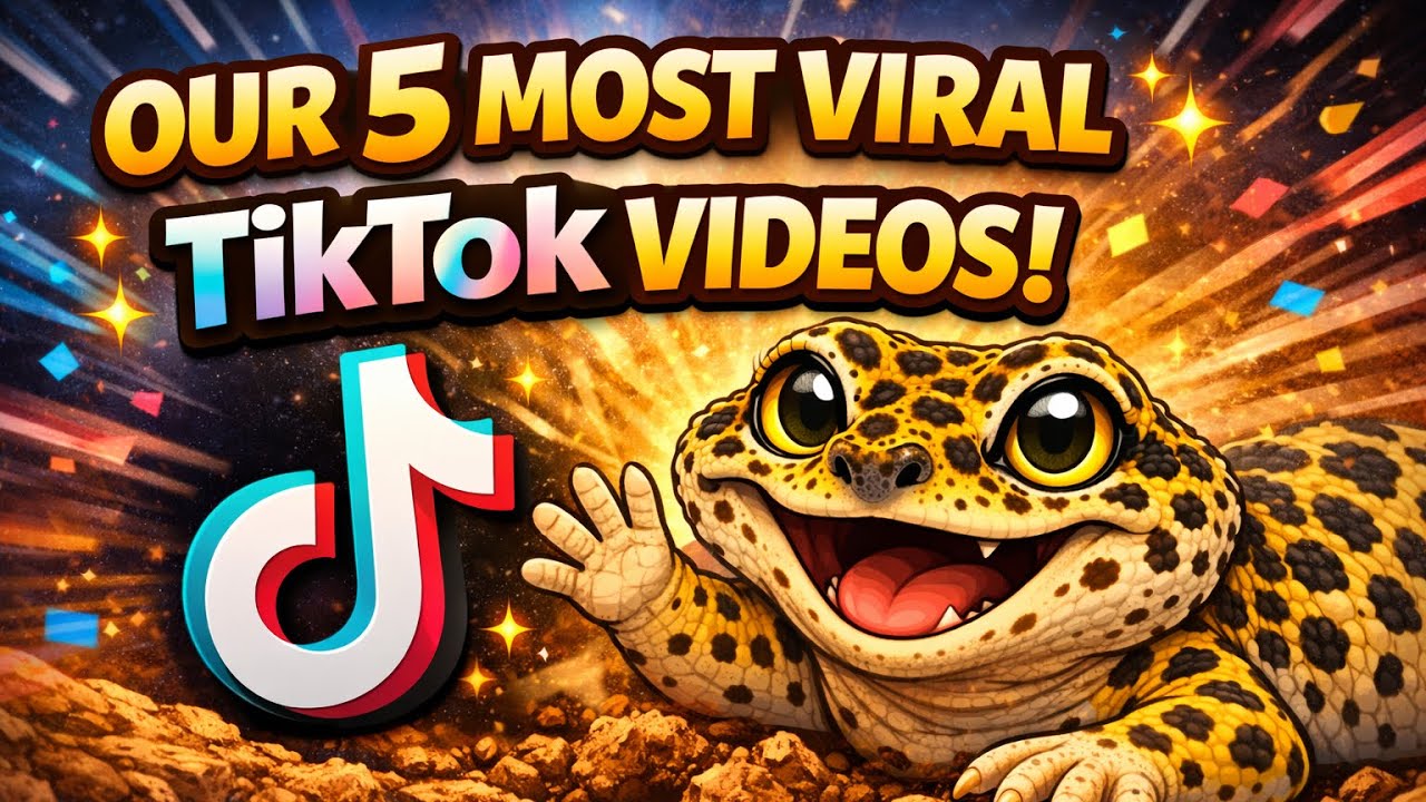 Top 5 Leopard Gecko TikToks That Went Viral