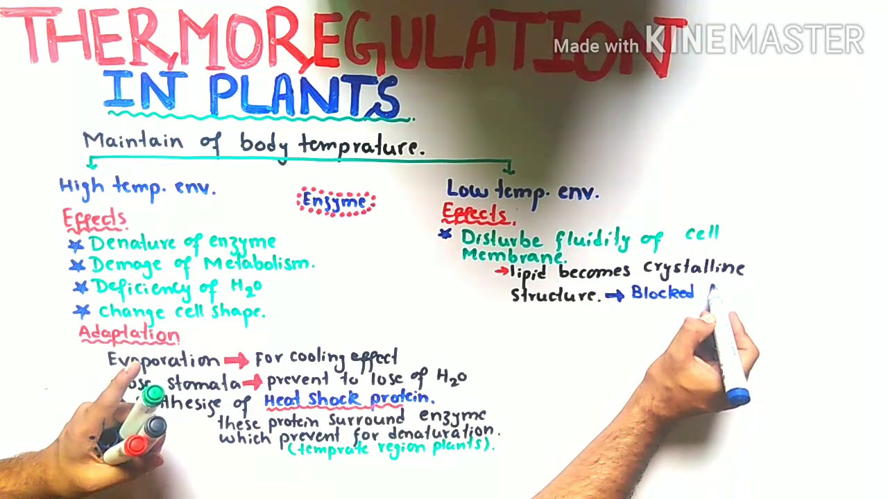 thermoregulation in plants | Heat shock protein | Class 12 Biology