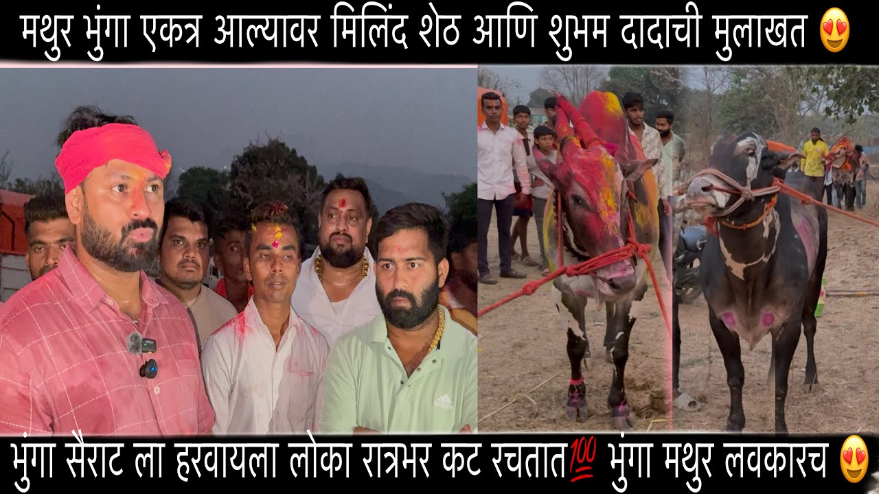 मथुर भुंगा एकत्र आल्यावर मिलिंद शेठ आणि शुभम दादाची मुलाखत 😍 | भुंगा मथुर भाऊ मोठी बिनजोड करू 💯