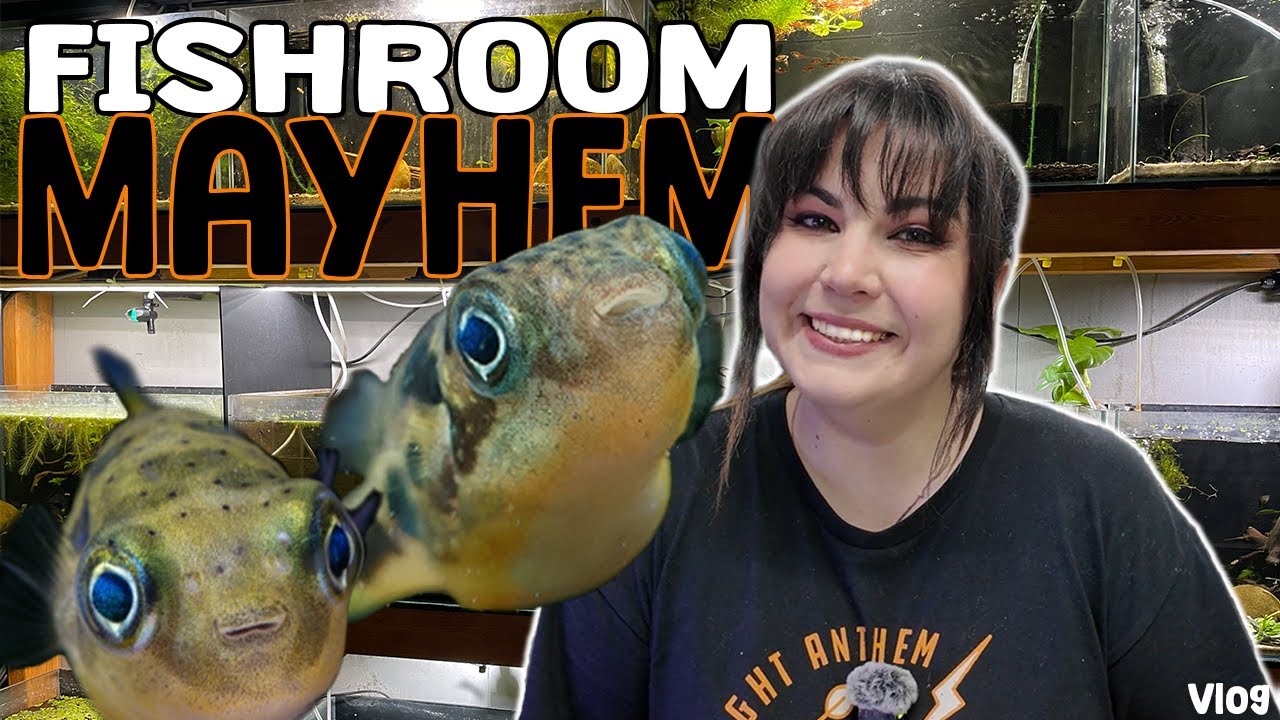 Fishroom Quests: Vlog