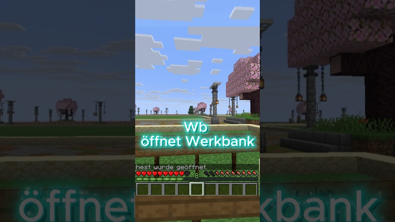 Alle Comands auf VoxelWorld.eu 