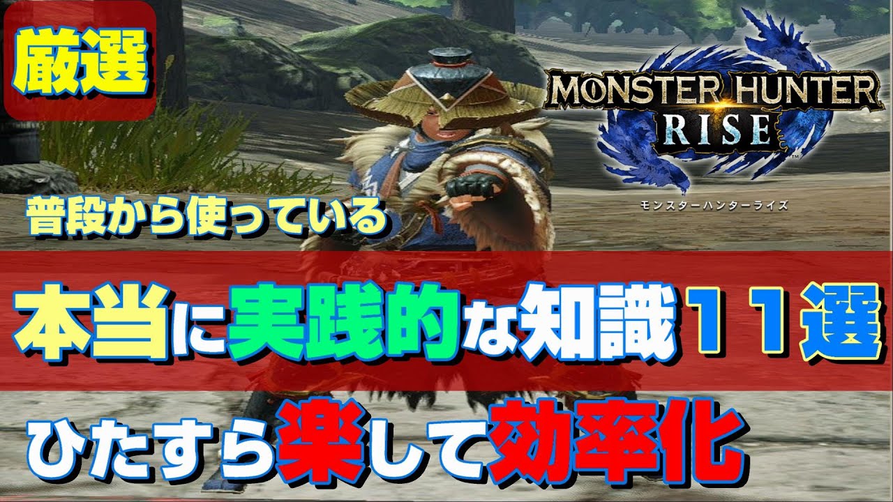 ひたすら楽できる！実践的なライズの知識10選！楽して、楽しもう！【MHRise】【モンスターハンターライズ】【裏技】