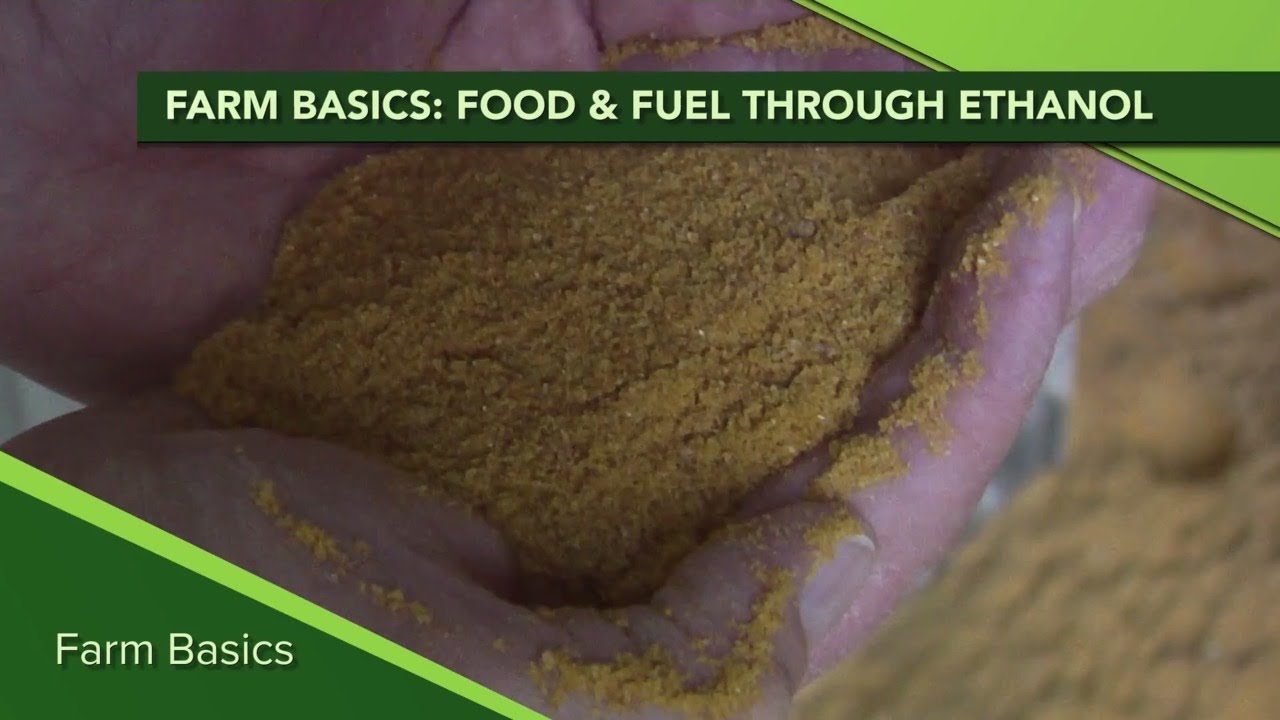 Farm Basic #1133 Ethanol: Food and Fuel (Air Date 12-12-19)