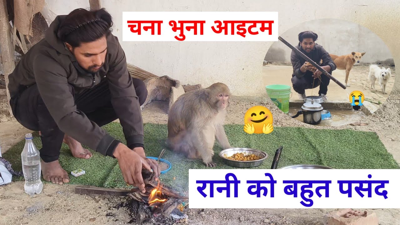 आकाश खाना कैसे बनाते हैं मंकी साथ में कैसे रहतीहैं 🤗 @Queenrbl12345 