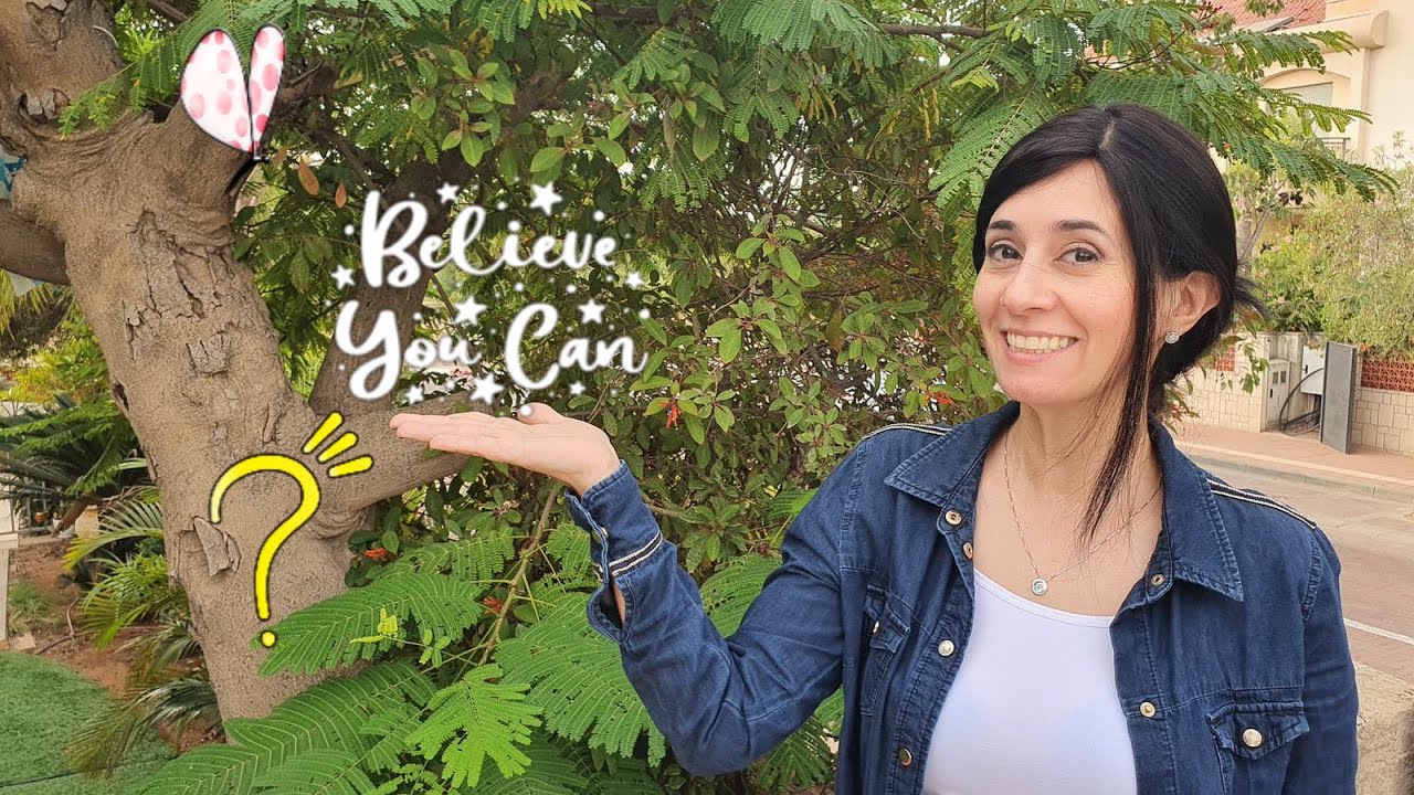 CAPSULE teatime 5 🫖: MON ENFANT EST IL HYPERSENSIBLE ?  -hinouh-