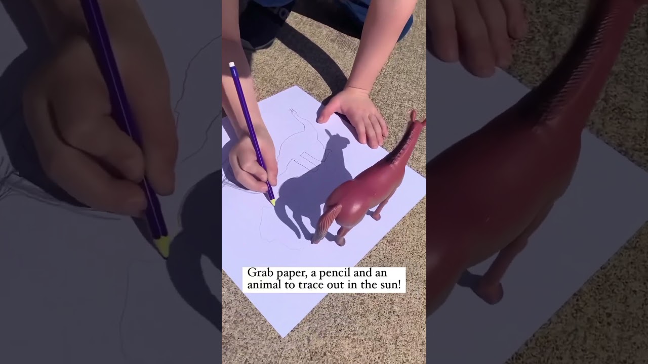 A shadow-tracing activity idea❤️ via @entertainmytoddler # #kidsactivityideas #diy
