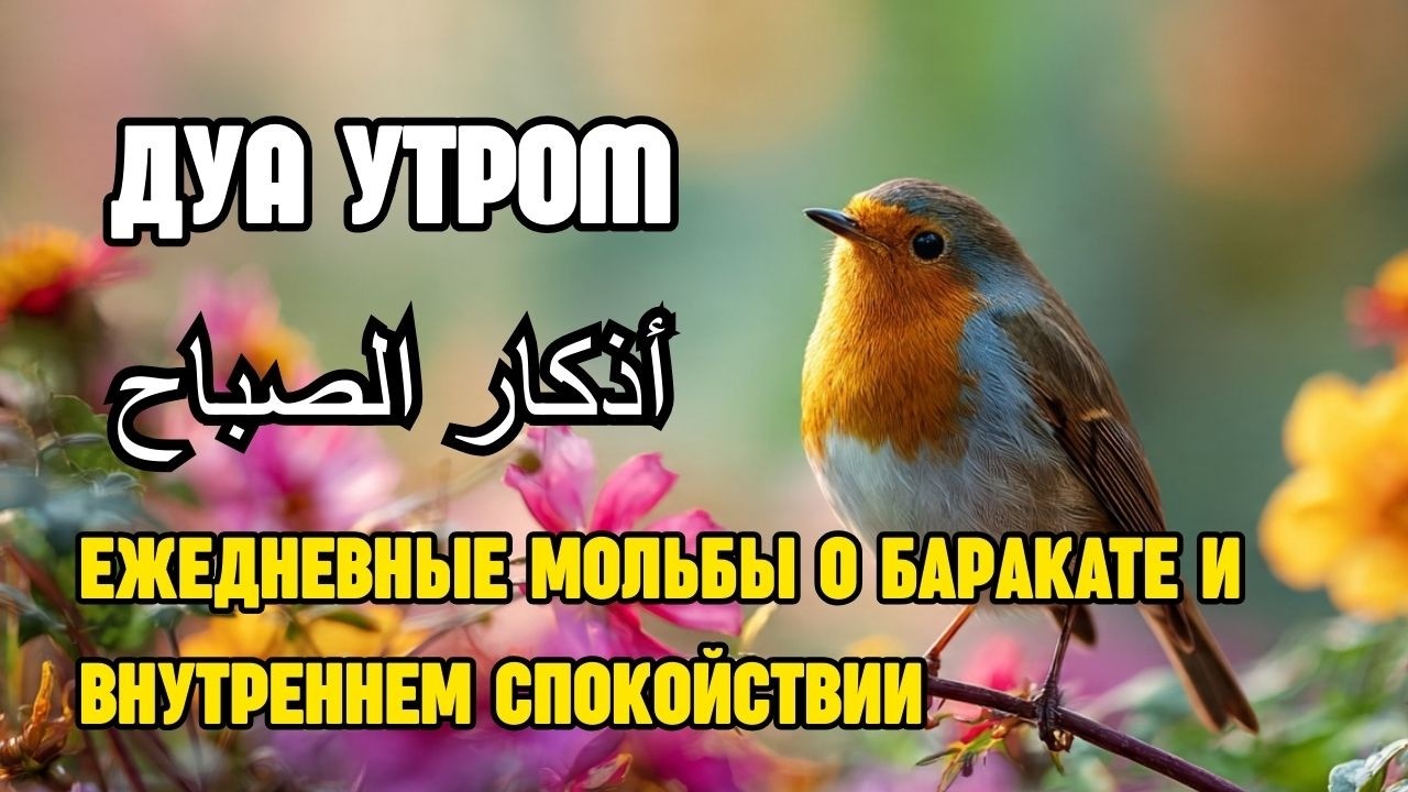 Утренние Азкары(أذكار الصباح) ежедневные мольбы о баракате и внутреннем спокойствии|Haven Holy Quran