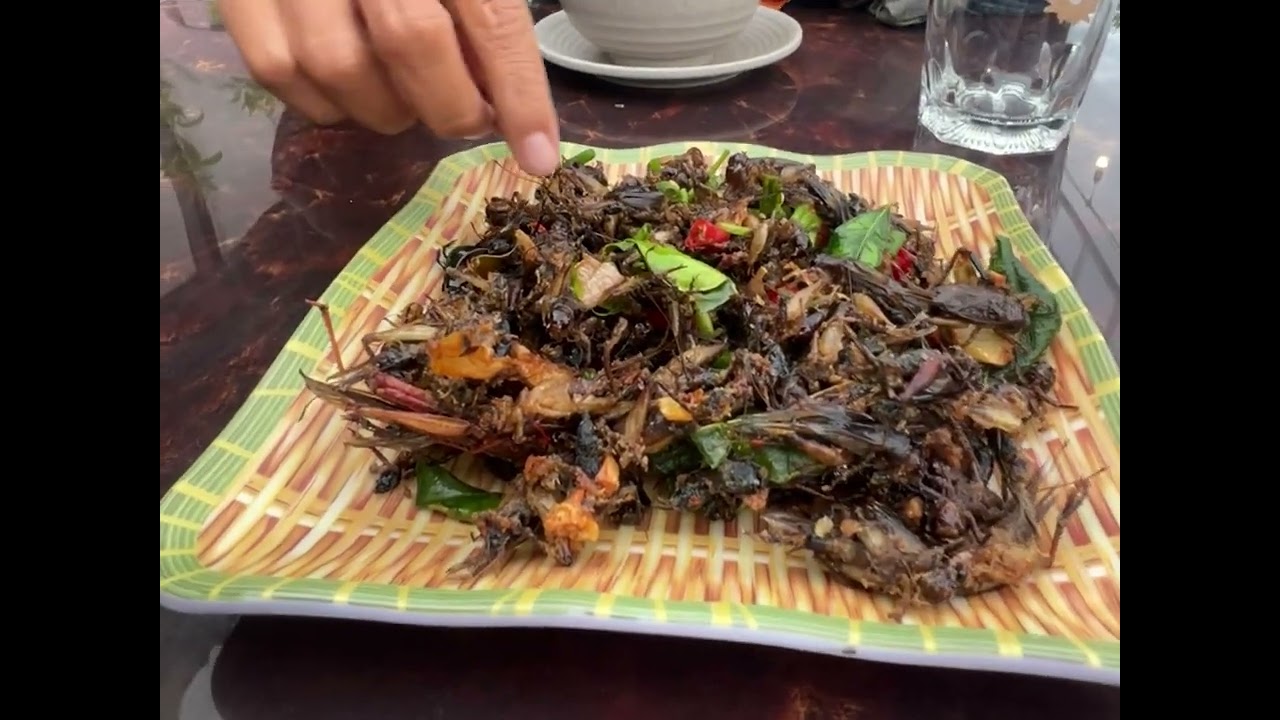 Mukbang eating 😱 Grasshopper
