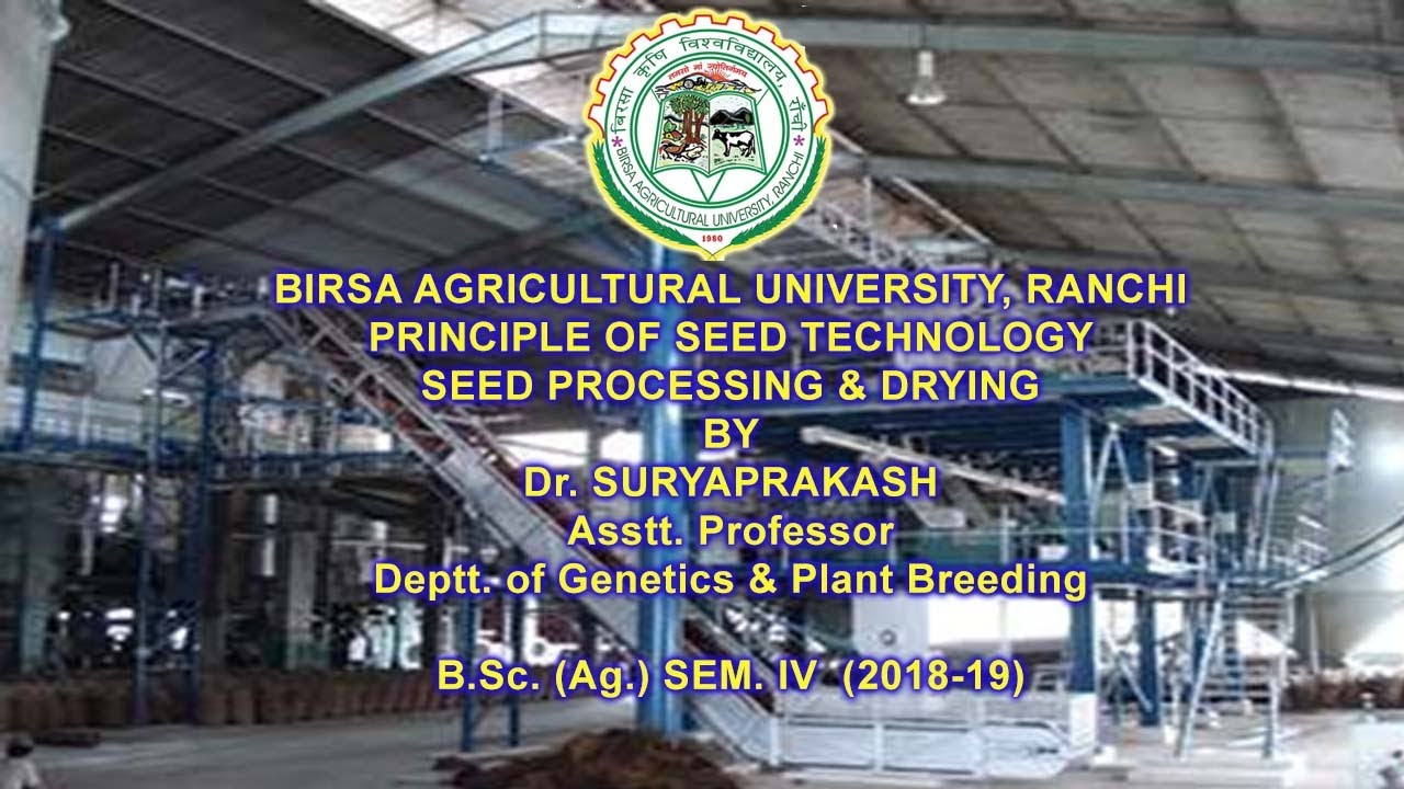 Seed Processing