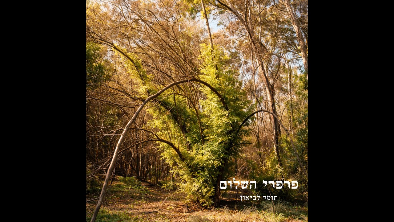 פרפרי השלום - תומר לביאון - Butterflies of Peace - Tomer Lavion