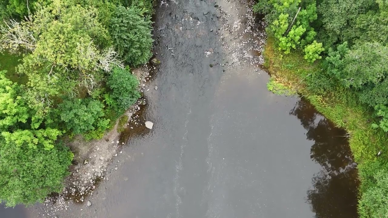 Biotoprestaurering Örekilsälven - Munkedals kommun 2025  •  4K video