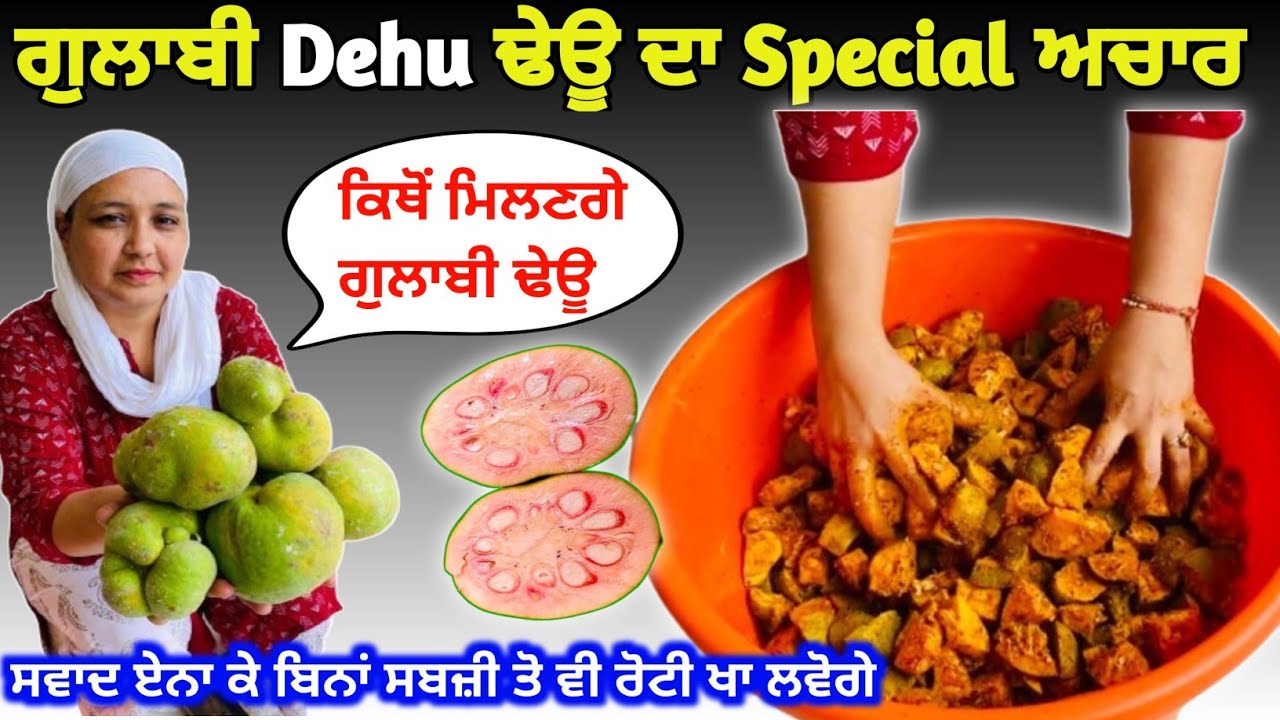 Special ਗੁਲਾਬੀ ਢੇਊ ਦਾ ਅਚਾਰ ! ਗੁਲਾਬੀ ਹੀ ਕਿਓ ! dehu ka achar kaise banate hain ! Badhal Ka Achar