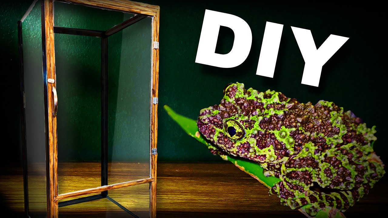 DIY Front opening 40 gallon tree frog enclosure (Vietnamese mossy frog paludarium part 1)