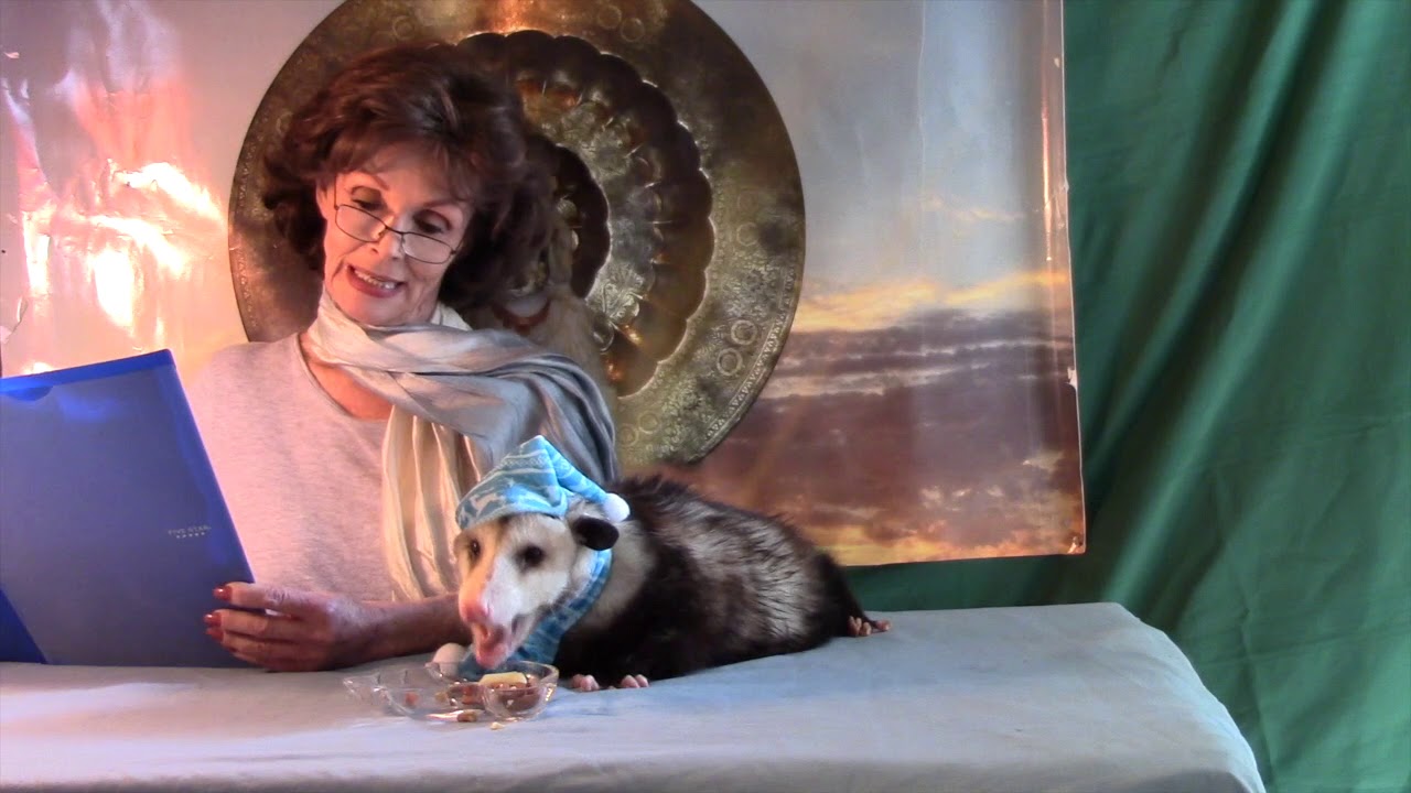 Пророчество Перлестина