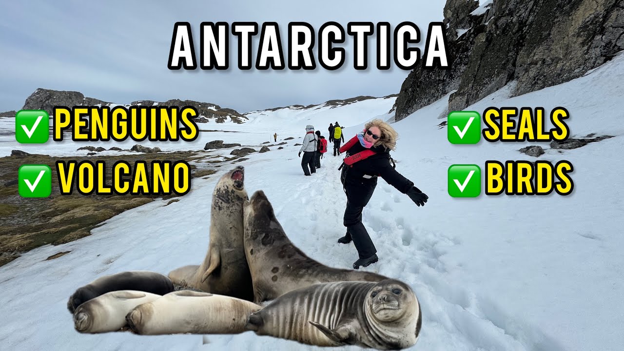 【Antarctica 2023】Part 3: Hello Antarctica...wildlife everywhere! | Oceanwide Expeditions Basecamp