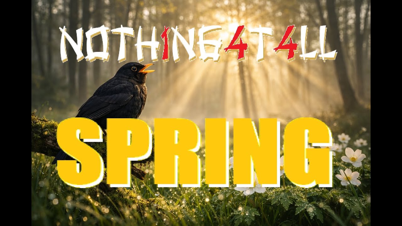 NOTH1NG4T4LL - Spring