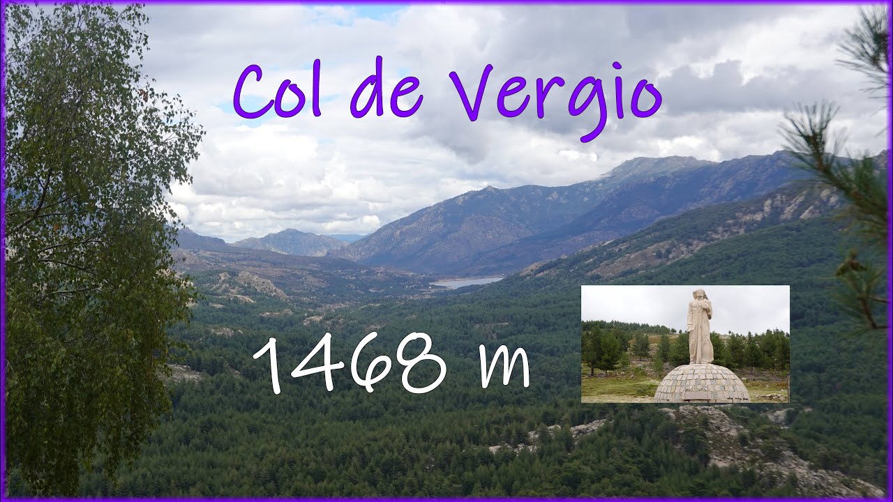 🚕🏕 Das Korsika Abenteuer mit dem VW-Bus (15) Col de Vergio und jede Menge Tierisches