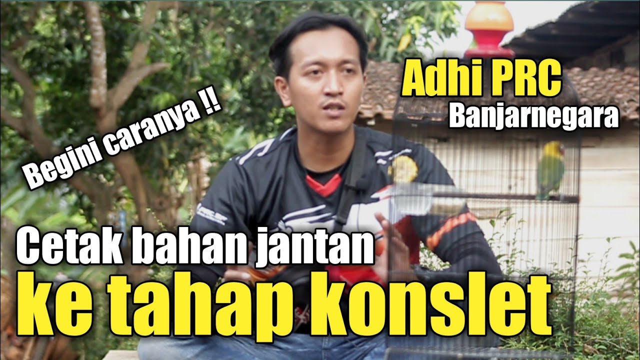 Adi PRC cetak lovebird jantan konslet dari bahan mentah