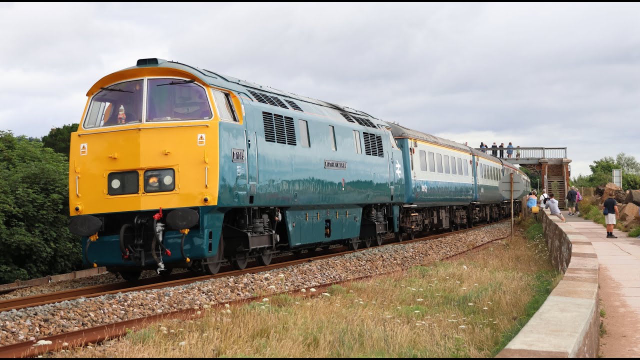 Western, Pullman, Class 37 and 2 Class 66s in 45 mins at Dawlish ! - 28th June 2025