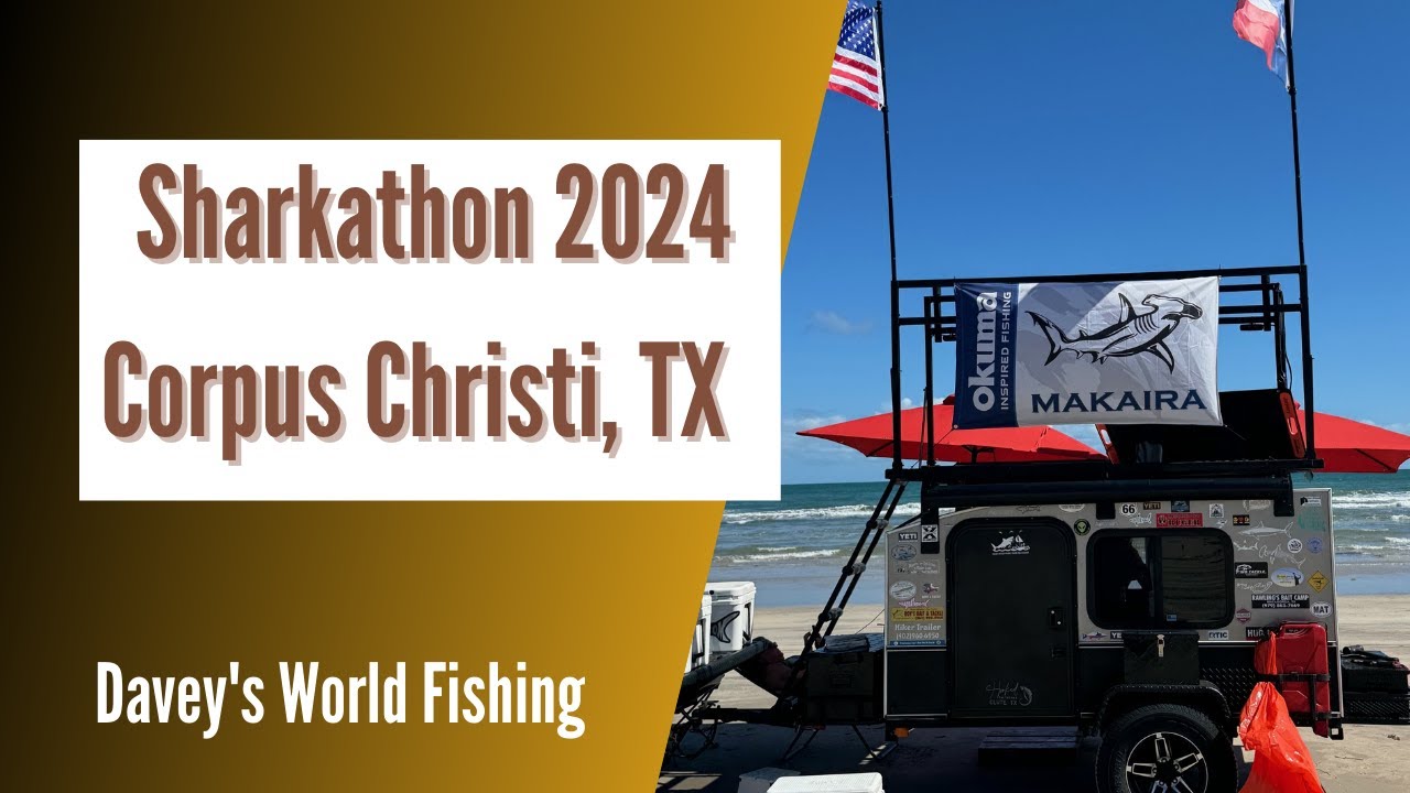 Sharkathon 2024: Beach Action, Big Sharks, and Epic Weigh-In
