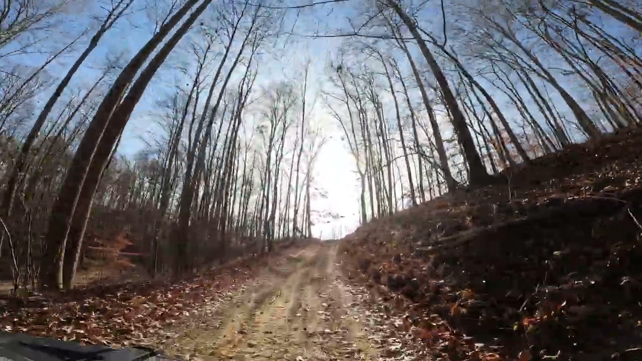 Ivy Branch on the ACE 900