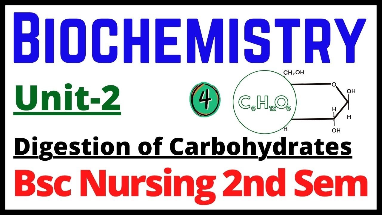Carbohydrates | Digestion | Absorption | Metabolism | Biochemistry Important Topic in Hindi Part-4