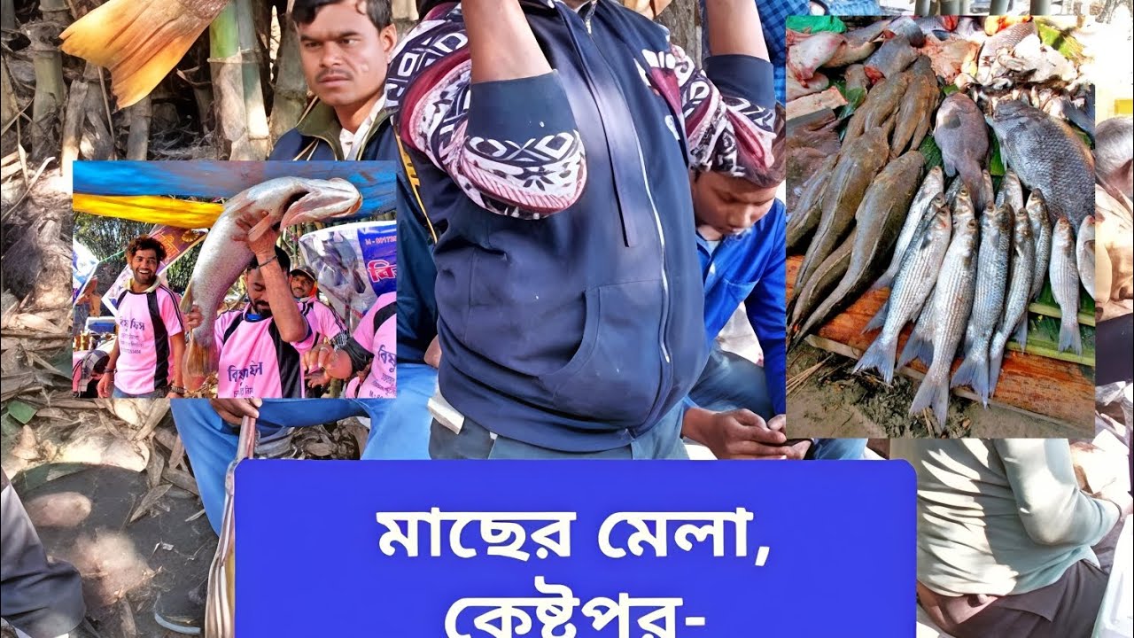 ৫১৯ বছরের পুরানো মাছের মেলা, ব্যান্ডেল- আদিসপ্তগ্রাম, কেষ্টপুর,হুগলী, ২০২৬