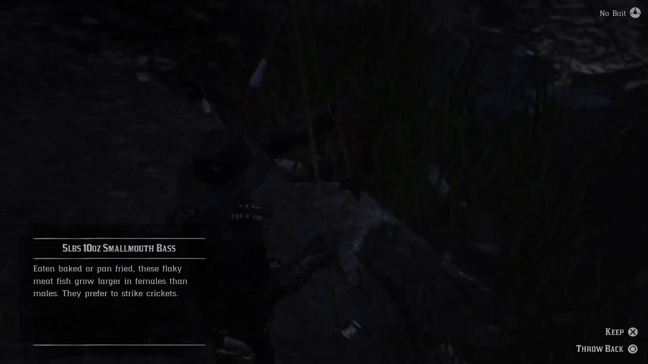 RDR2 RHODES 420VIBES