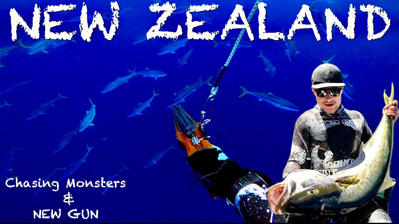 SPEARFISHING New Zealand, CATCH and COOK