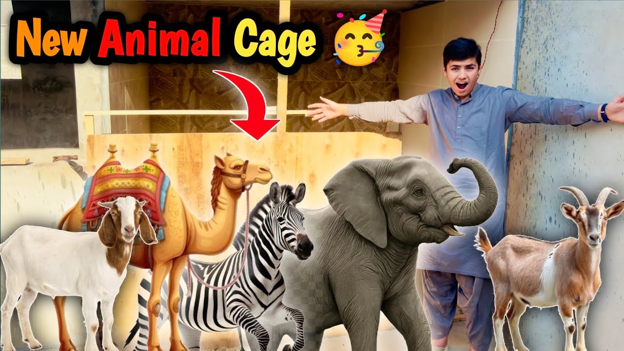 Новая клетка для животных Ка Кам в комплекте |🥳@shehrmaindihat #viralvideo #trending #foryou #pet...
