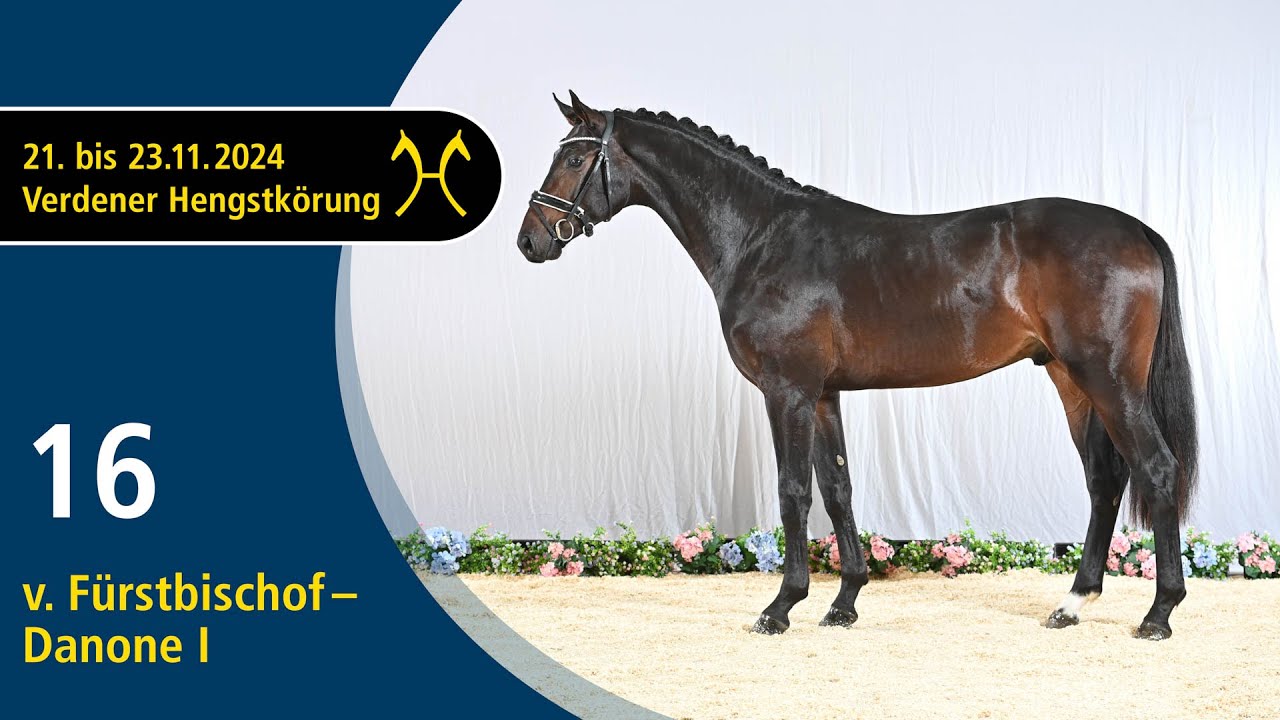 No. 16 Stallion by Fürstbischof - Danone I | Verden Stallion Licensing 2024 - Dressage - Nov. 22/23