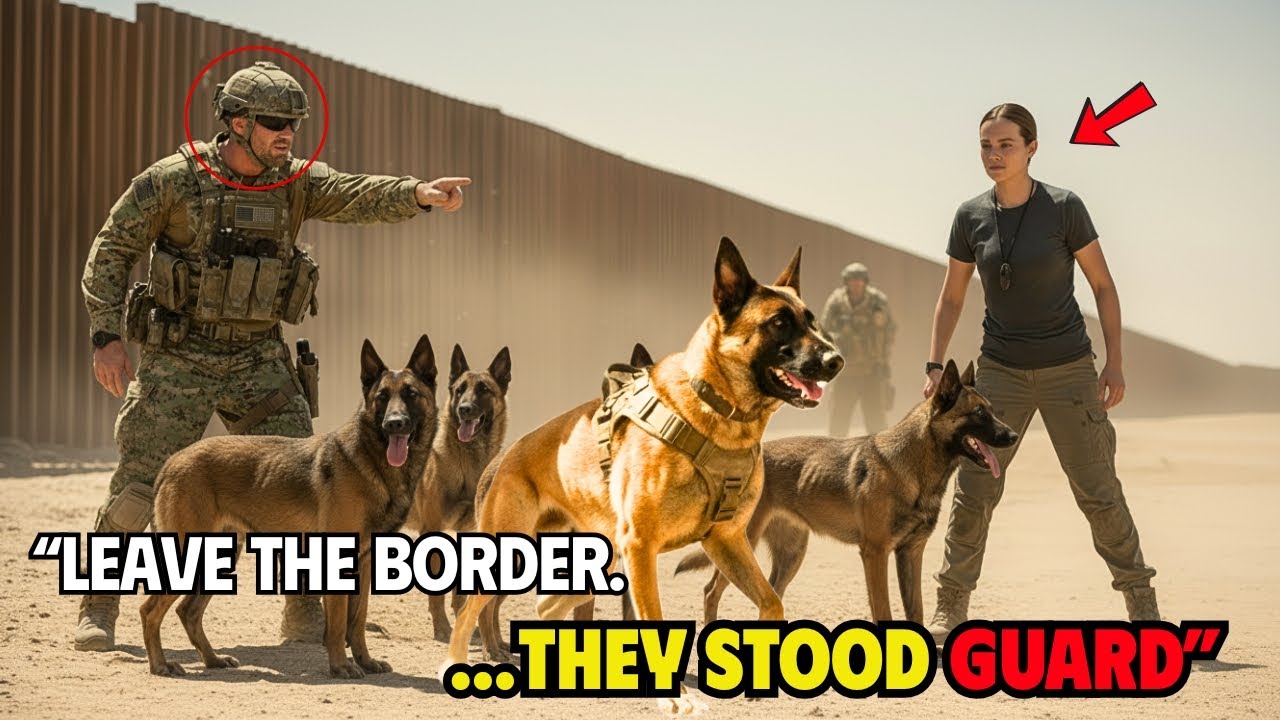 Navy SEAL Said Go Home — But All 15 Military Dogs Refused And Guarded The Border Instead