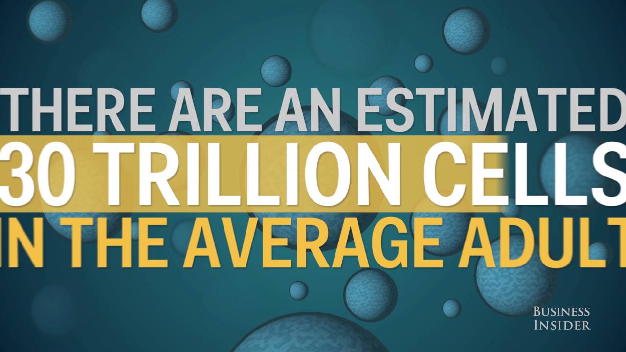 The astounding amount of DNA in the human body
