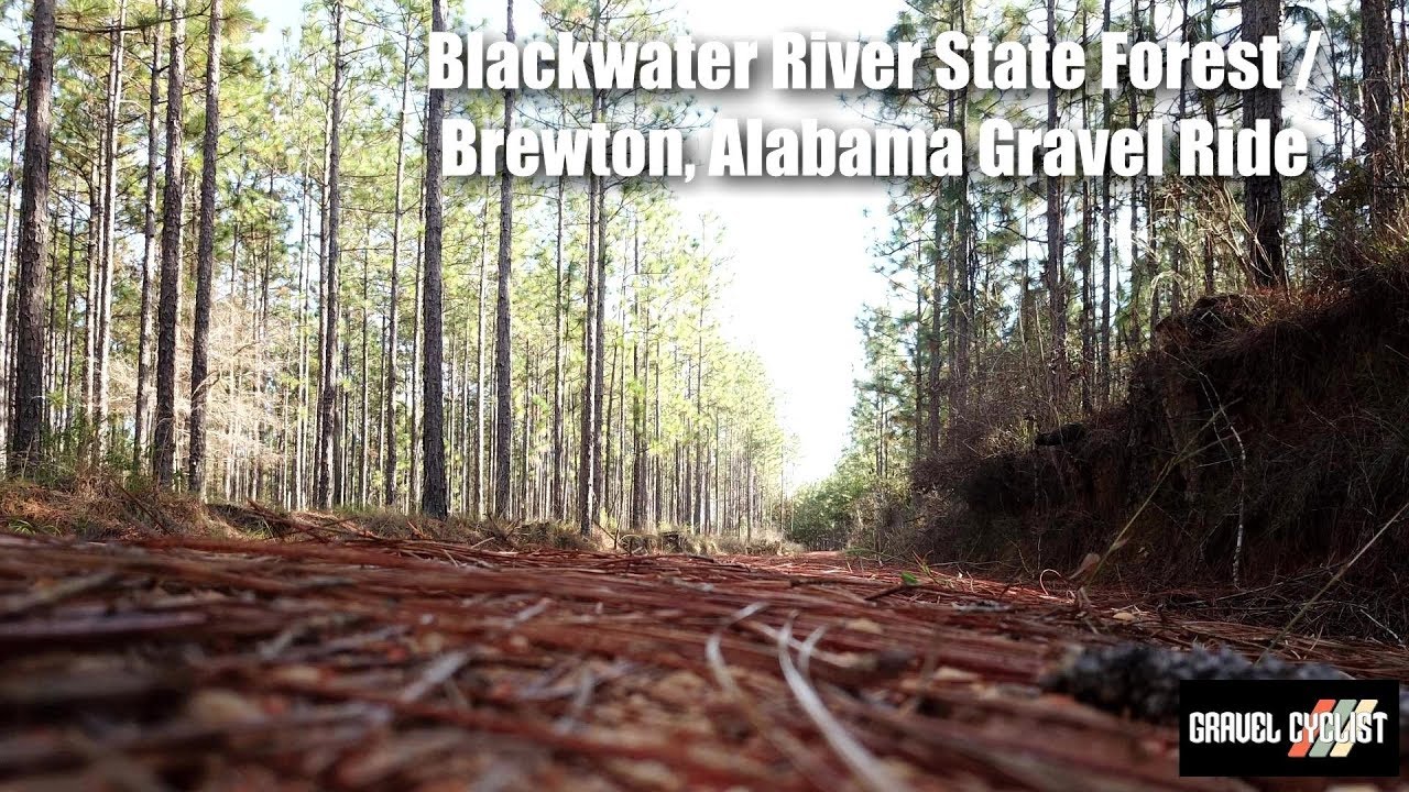 Blackwater River State Forest / Brewton, Alabama Gravel Ride!