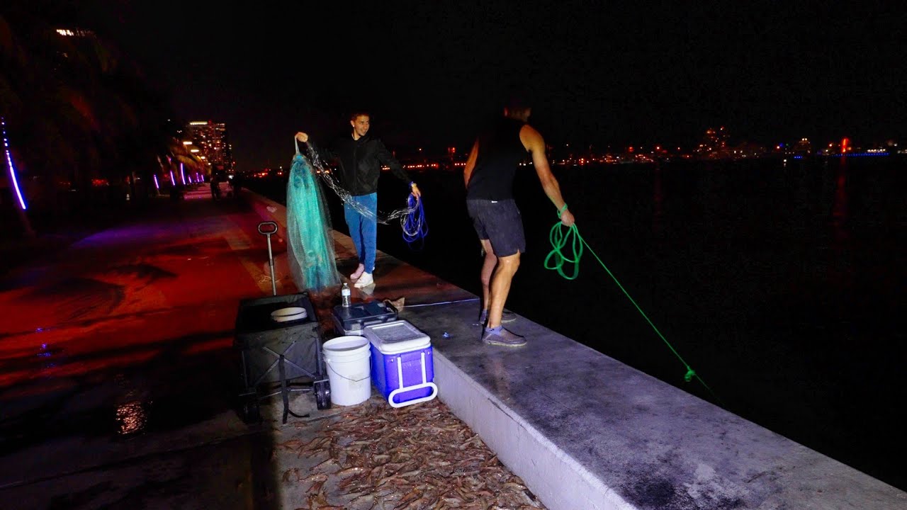 Millions of Shrimp in Miami ! You will Limit Out Tonight ! (Chit Show)