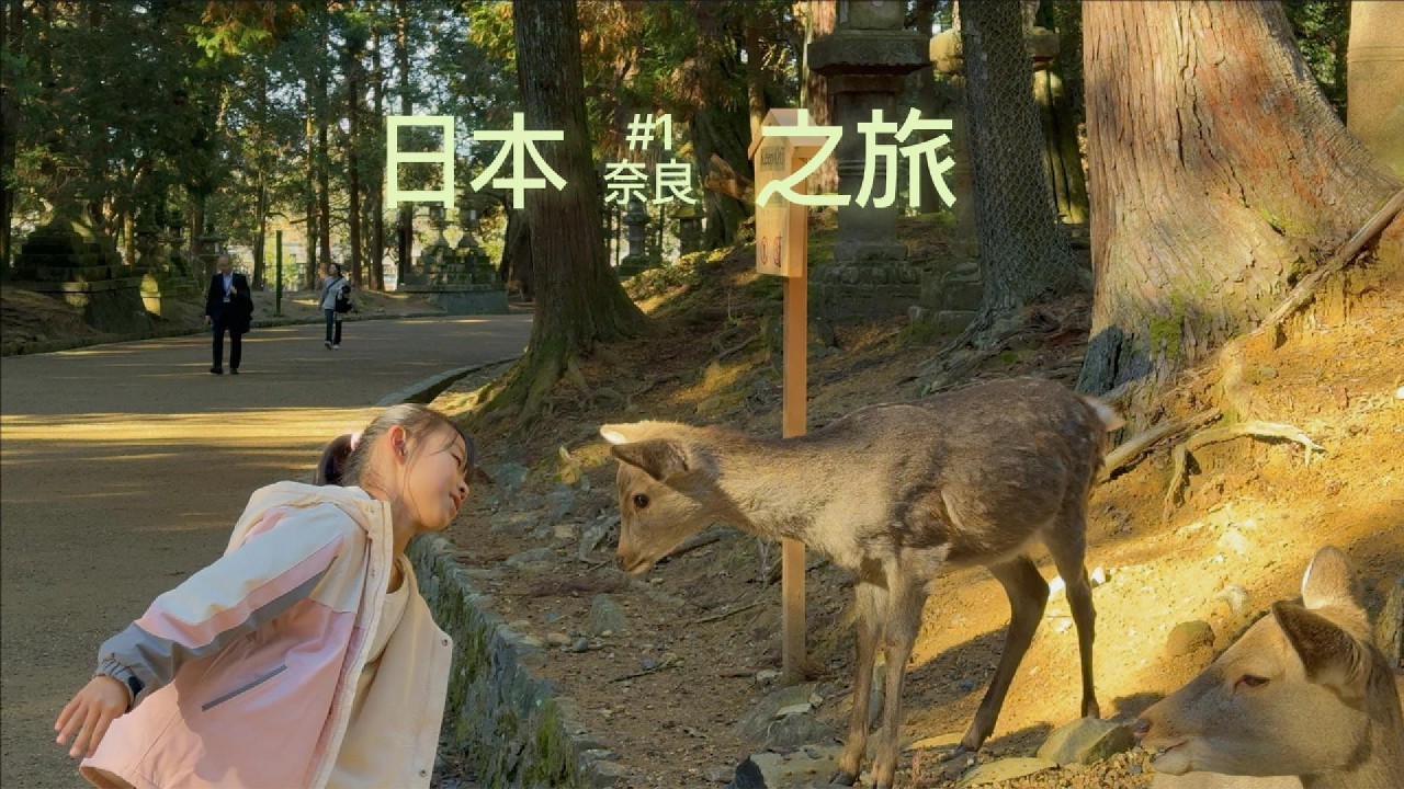 日本奈良
