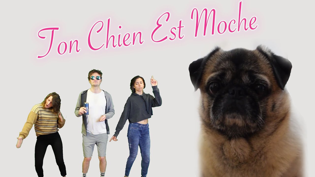 Ton Chien Est Moche