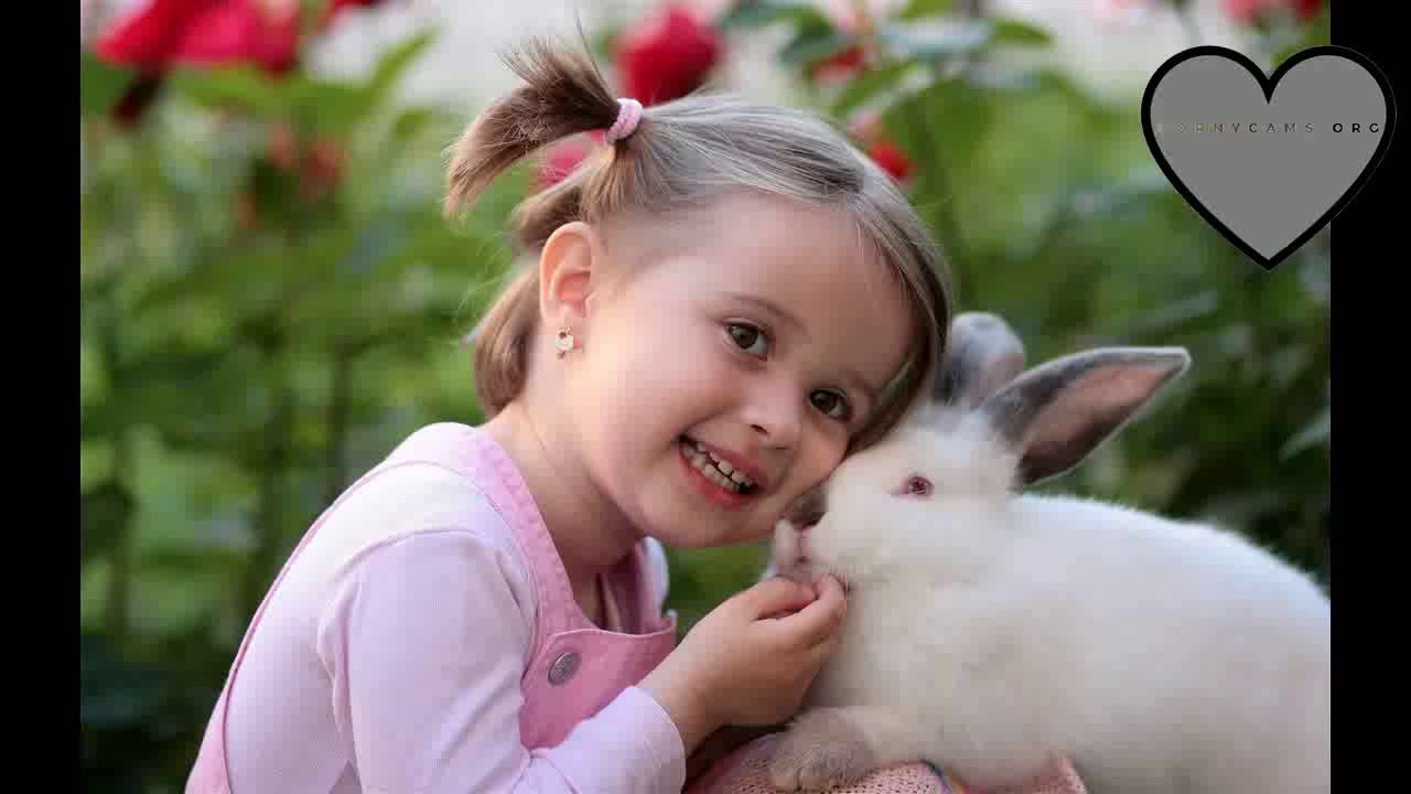 F&aring; Fyren Boken - Iwd Visits Bronze (Broken Flex Queue Edition)