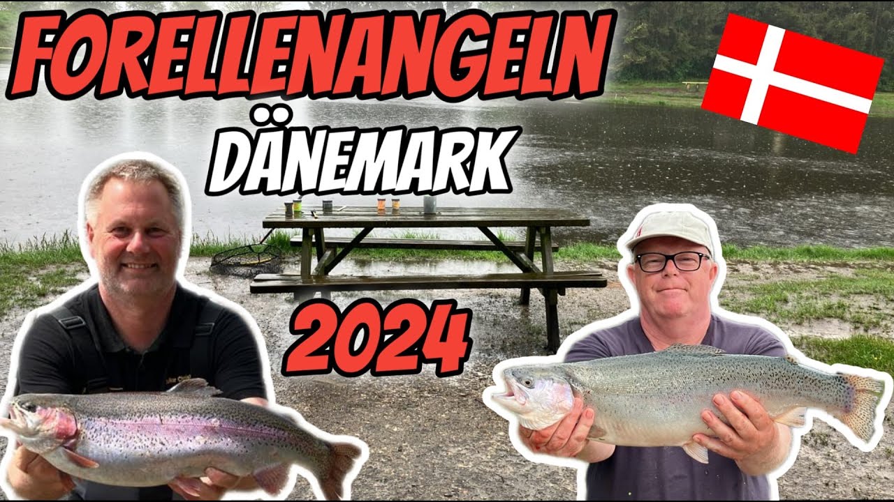 Forellenangeln In Dänemark 2024 Volker & Paul auf Lachsforellen #forellenangeln #angeln #hobby