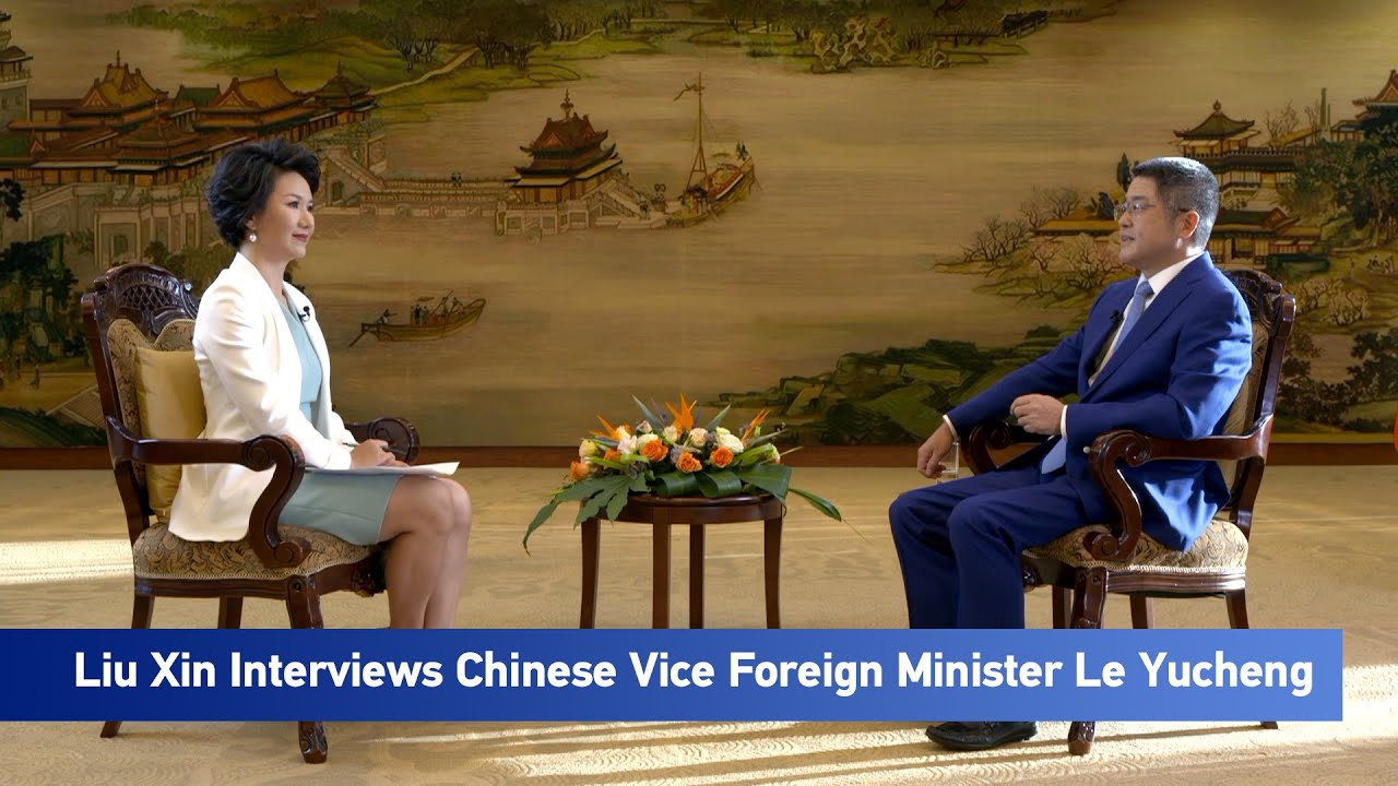 Chinese Vice Foreign Minister Le Yucheng on Taiwan issue