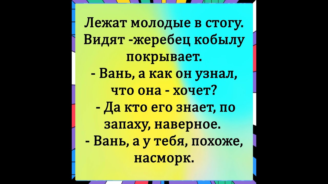 Анекдоты #шуточное #юмор #смехпродлеваетжизнь #funny