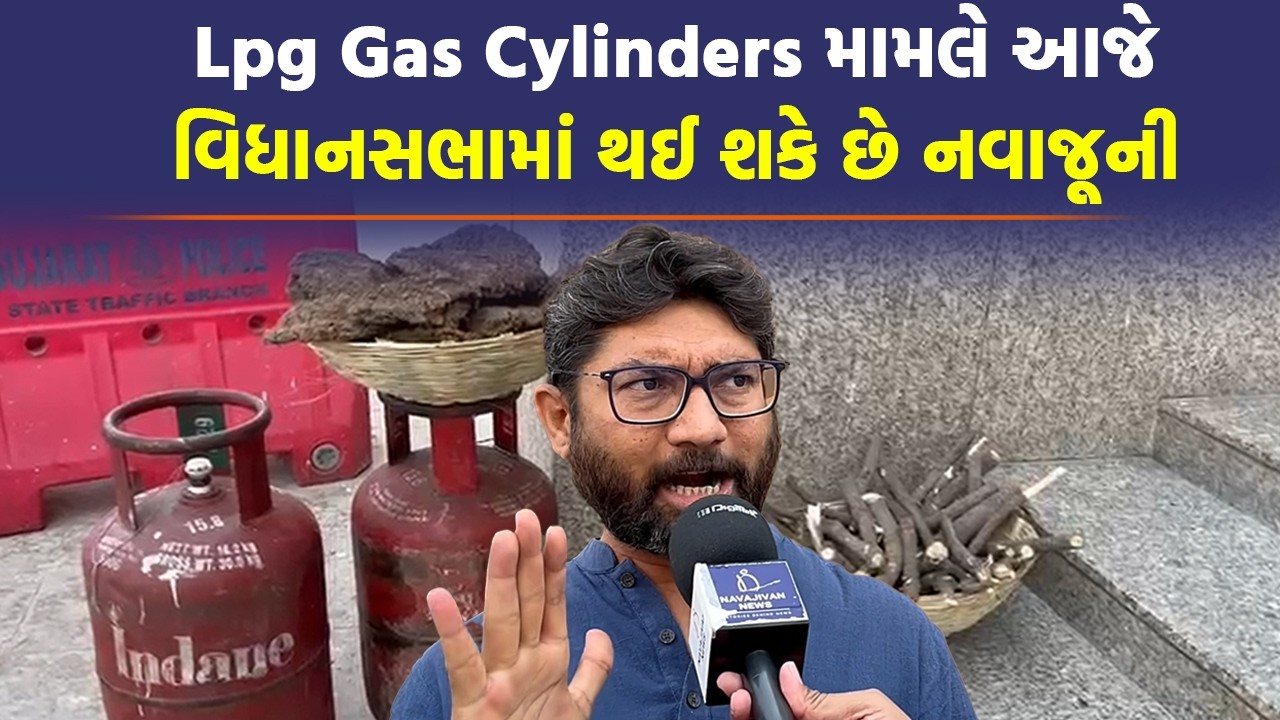 Anant Patel અને Jignesh Mevani એ lpg gas cylinders મામલે વિધાનસભામાં હોબાળો કર્યો
