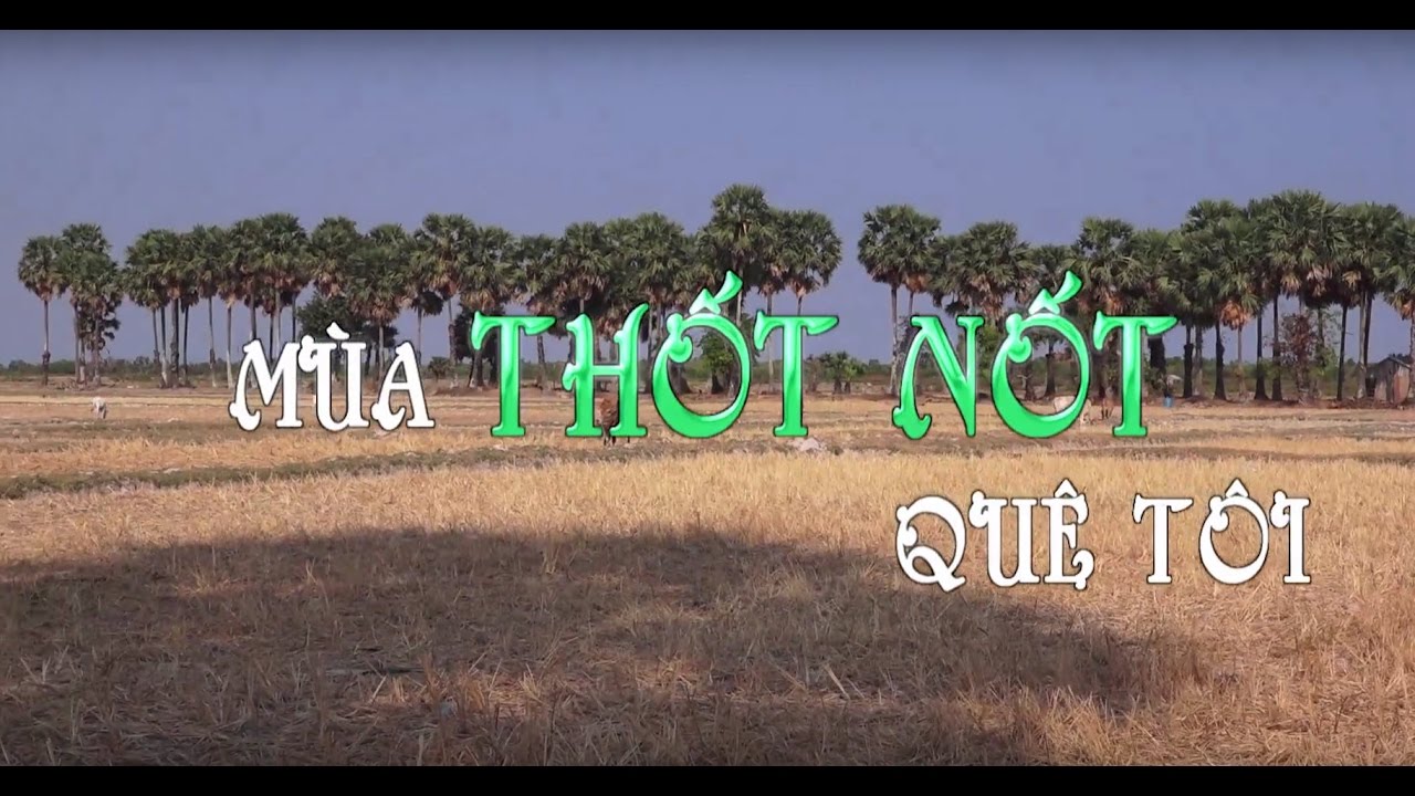 K&yacute; ức miền qu&ecirc; | M&ugrave;a thốt nốt qu&ecirc; t&ocirc;i | THKG