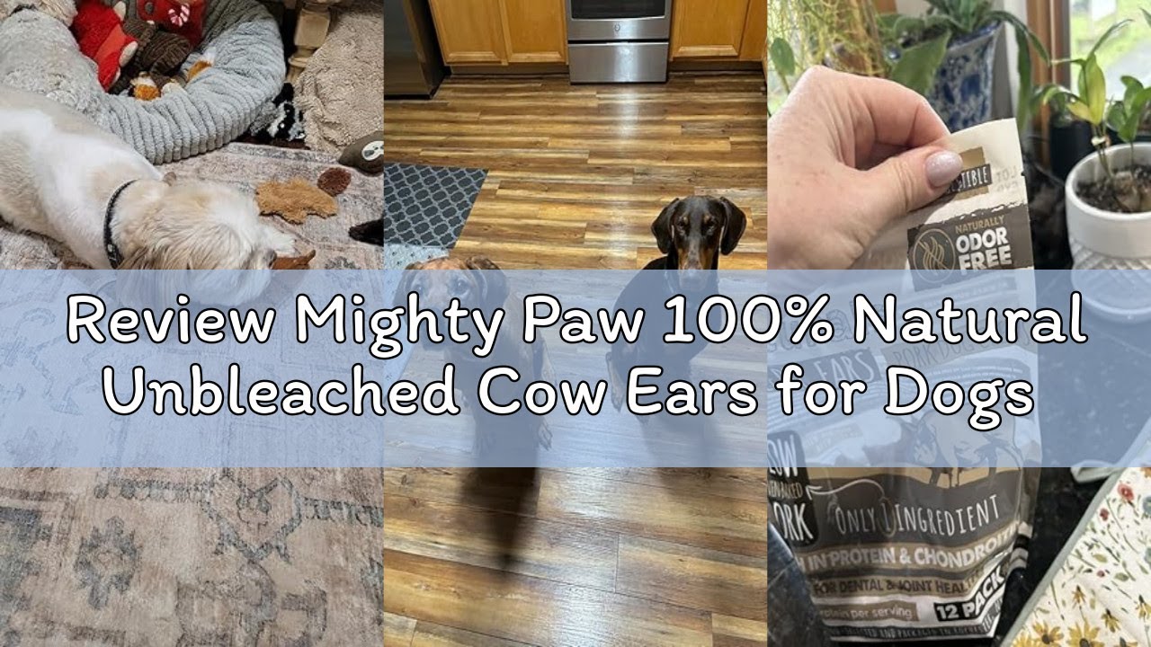 Review Mighty Paw 100% Natural Unbleached Cow Ears for Dogs - Single Ingredient - Cows Ears for Dogs