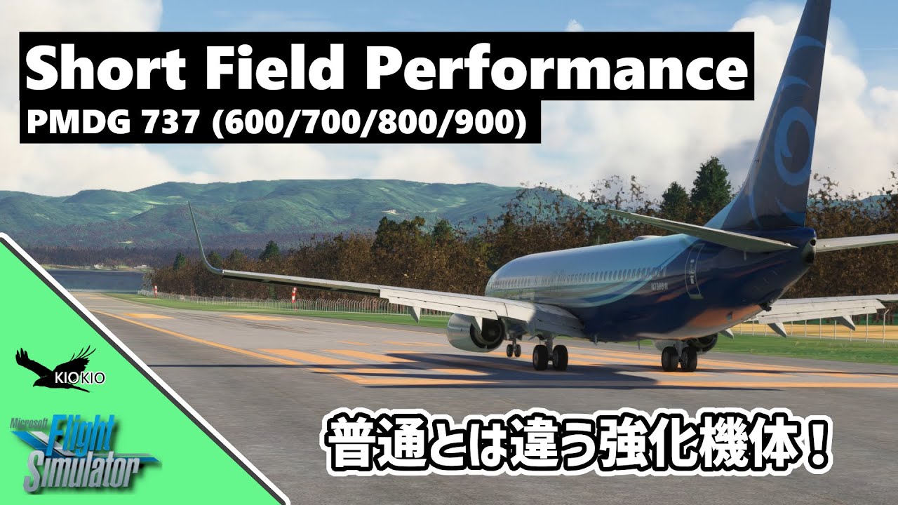PMDG 737 Short Field Performance Package ( SFP ) とは？【MSFS 2020 :共通】